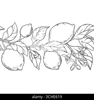 Motif sans couture horizontal contour citron Illustration de Vecteur