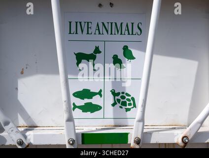 Munich, Allemagne. 01 Sep, 2025. ILLUSTRATION - Un chariot à bagages pour animaux portant l'inscription « animaux vivants » se dresse sur le tablier de l'aéroport de Munich. Crédit : Sven Hoppe/dpa/Alamy Live News Banque D'Images