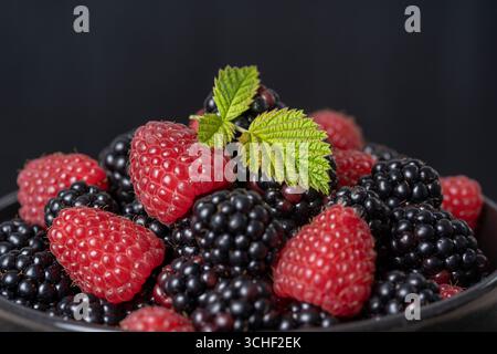 Arrière-plan de produits frais bio mûres et framboises. Beaucoup de fruits sauvages mûrs de petits fruits juteux crus sur fond noir. Mûre et de framboise, cl Banque D'Images