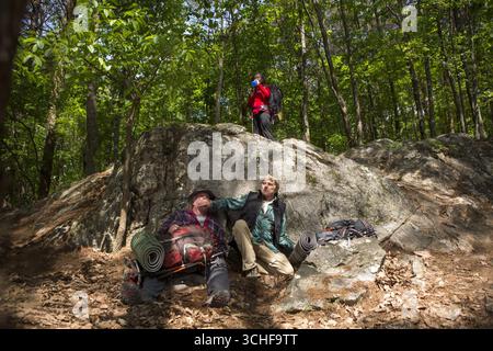 A Walk in the Woods est un film dramatique biographique américain réalisé par Ken Kwapis et sorti en 2015 et mettant en vedette Robert Redford, Nick Nolte et Emma Thompson. Basé sur le livre de 1998 du même nom de Bill Bryson, il est sorti le 2 septembre 2015. Banque D'Images
