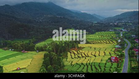 Superbe vue aérienne rizières vibrantes dans une vallée pittoresque, coulant à travers des forêts luxuriantes et des collines ondulantes, mettant en valeur la beauté des paysages agricoles de l'Indonésie. Asie nature rurale Banque D'Images