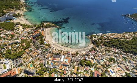 Vue aérienne, Baie de Peguera, plage Playa Peguera, plage Platja Gran de Tora, Camp de Mar (ES), Europe, Baléares, Espagne Banque D'Images