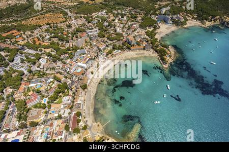 Vue aérienne, Baie de Peguera, plage Playa Peguera, plage Platja Gran de Tora, Camp de Mar (ES), Europe, Baléares, Espagne Banque D'Images