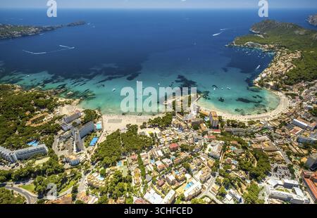 Vue aérienne, Baie de Peguera, plage Playa Peguera, plage Platja Gran de Tora, vue sur la mer, Camp de Mar (ES), Europe, Baléares, Espagne Banque D'Images