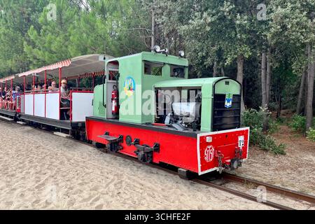 Ile Oléron, France. 30 août 2025. Sur la côte atlantique française, l'île d'Oléron en Charentes Maritimes, région Nouvelle Aquitaine. Le petit train de Saint-Trojan est l'une des attractions touristiques de l'île. Il transporte 75 000 touristes par an autour d'une partie de l'île, mais son itinéraire est menacé par l'érosion côtière à la pointe sud de l'île d'Oléron en direction de la plage de Gatseau. 30 août 2025, ouest de la France. Photo de Nicolas Roses/ABACAPRESS.COM crédit : Abaca Press/Alamy Live News Banque D'Images