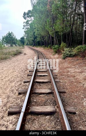 Ile Oléron, France. 30 août 2025. Sur la côte atlantique française, l'île d'Oléron en Charentes Maritimes, région Nouvelle Aquitaine. Le petit train de Saint-Trojan est l'une des attractions touristiques de l'île. Il transporte 75 000 touristes par an autour d'une partie de l'île, mais son itinéraire est menacé par l'érosion côtière à la pointe sud de l'île d'Oléron en direction de la plage de Gatseau. 30 août 2025, ouest de la France. Photo de Nicolas Roses/ABACAPRESS.COM crédit : Abaca Press/Alamy Live News Banque D'Images