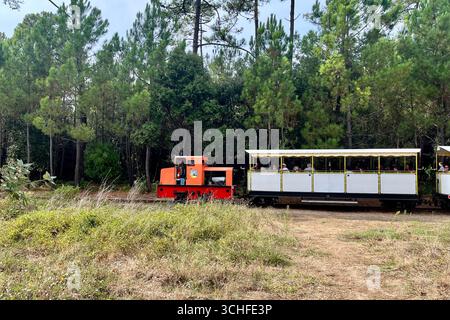 Ile Oléron, France. 30 août 2025. Sur la côte atlantique française, l'île d'Oléron en Charentes Maritimes, région Nouvelle Aquitaine. Le petit train de Saint-Trojan est l'une des attractions touristiques de l'île. Il transporte 75 000 touristes par an autour d'une partie de l'île, mais son itinéraire est menacé par l'érosion côtière à la pointe sud de l'île d'Oléron en direction de la plage de Gatseau. 30 août 2025, ouest de la France. Photo de Nicolas Roses/ABACAPRESS.COM crédit : Abaca Press/Alamy Live News Banque D'Images