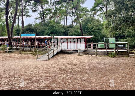Ile Oléron, France. 30 août 2025. Sur la côte atlantique française, l'île d'Oléron en Charentes Maritimes, région Nouvelle Aquitaine. Le petit train de Saint-Trojan est l'une des attractions touristiques de l'île. Il transporte 75 000 touristes par an autour d'une partie de l'île, mais son itinéraire est menacé par l'érosion côtière à la pointe sud de l'île d'Oléron en direction de la plage de Gatseau. 30 août 2025, ouest de la France. Photo de Nicolas Roses/ABACAPRESS.COM crédit : Abaca Press/Alamy Live News Banque D'Images