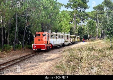 Ile Oléron, France. 30 août 2025. Sur la côte atlantique française, l'île d'Oléron en Charentes Maritimes, région Nouvelle Aquitaine. Le petit train de Saint-Trojan est l'une des attractions touristiques de l'île. Il transporte 75 000 touristes par an autour d'une partie de l'île, mais son itinéraire est menacé par l'érosion côtière à la pointe sud de l'île d'Oléron en direction de la plage de Gatseau. 30 août 2025, ouest de la France. Photo de Nicolas Roses/ABACAPRESS.COM crédit : Abaca Press/Alamy Live News Banque D'Images