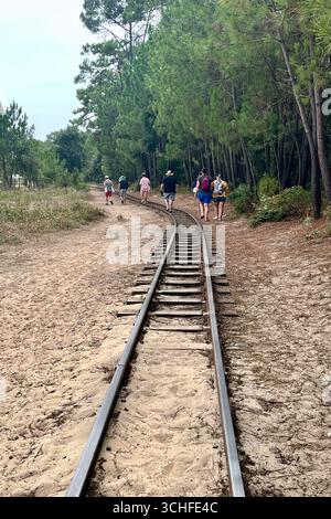 Ile Oléron, France. 30 août 2025. Sur la côte atlantique française, l'île d'Oléron en Charentes Maritimes, région Nouvelle Aquitaine. Le petit train de Saint-Trojan est l'une des attractions touristiques de l'île. Il transporte 75 000 touristes par an autour d'une partie de l'île, mais son itinéraire est menacé par l'érosion côtière à la pointe sud de l'île d'Oléron en direction de la plage de Gatseau. 30 août 2025, ouest de la France. Photo de Nicolas Roses/ABACAPRESS.COM crédit : Abaca Press/Alamy Live News Banque D'Images