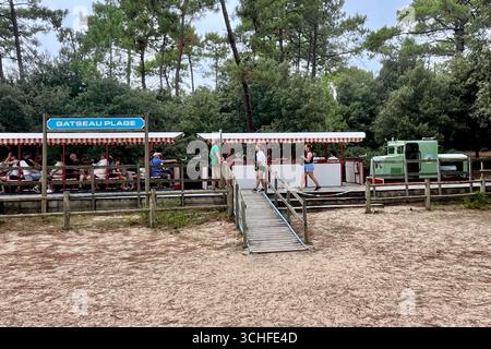 Ile Oléron, France. 30 août 2025. Sur la côte atlantique française, l'île d'Oléron en Charentes Maritimes, région Nouvelle Aquitaine. Le petit train de Saint-Trojan est l'une des attractions touristiques de l'île. Il transporte 75 000 touristes par an autour d'une partie de l'île, mais son itinéraire est menacé par l'érosion côtière à la pointe sud de l'île d'Oléron en direction de la plage de Gatseau. 30 août 2025, ouest de la France. Photo de Nicolas Roses/ABACAPRESS.COM crédit : Abaca Press/Alamy Live News Banque D'Images