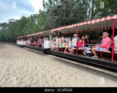 Ile Oléron, France. 30 août 2025. Sur la côte atlantique française, l'île d'Oléron en Charentes Maritimes, région Nouvelle Aquitaine. Le petit train de Saint-Trojan est l'une des attractions touristiques de l'île. Il transporte 75 000 touristes par an autour d'une partie de l'île, mais son itinéraire est menacé par l'érosion côtière à la pointe sud de l'île d'Oléron en direction de la plage de Gatseau. 30 août 2025, ouest de la France. Photo de Nicolas Roses/ABACAPRESS.COM crédit : Abaca Press/Alamy Live News Banque D'Images