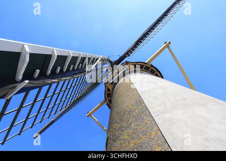 Moulin à vent hollandais traditionnel sur le canal Aelbrechtskolk, Korenmolen de Distilleerketel, construit en 1727 pour moudre le maïs et le malt pour les distilleries locales. Banque D'Images