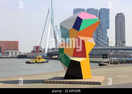 L'Erasmusbrug, ou le Cygne, un pont à haubans blanc, qui s'ouvre permettant le passage des navires, conçu par Ben van Berkel en 1996, qui traversent Banque D'Images