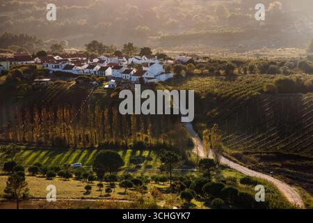 Vue panoramique d'un petit village près d'Obidos, Portugal, avec des vignobles, route sinueuse, et lumière dorée du coucher de soleil sur le paysage rural. Banque D'Images