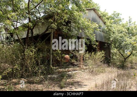 Les ruines de l’usine Union Carbide à Bhopal, en Inde, sont restées désertes et envahies d’arbustes après la pire catastrophe industrielle au monde en 1984. Banque D'Images