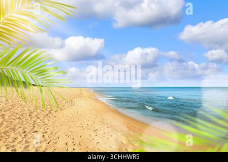 Soleil brille à travers les feuilles de palmier sur la plage tropicale. Vagues de mer roulant sur du sable doré Banque D'Images