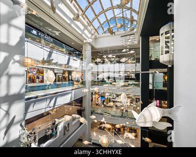 Nice, France - 30 août 2025 : intérieur du centre commercial Nice Etoile avec vue sur les étages avec ascenseurs et lustres en forme de poisson Banque D'Images