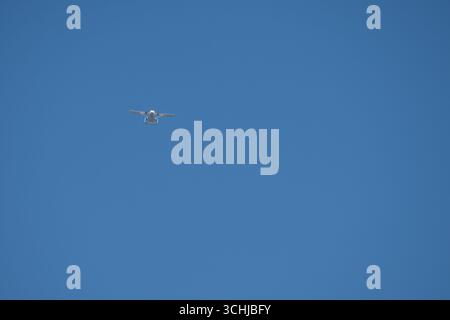 Court SC-7 Skyvan 3-100 dans un ciel bleu clair ascendant pour un parachute d'équipe Banque D'Images