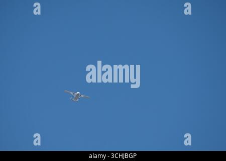 Court SC-7 Skyvan 3-100 dans un ciel bleu clair ascendant pour un parachute d'équipe Banque D'Images