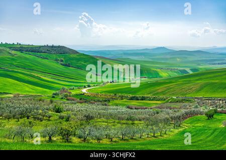 Paysage printanier spectaculaire autour du village de Poggiorsini dans les Pouilles avec des collines verdoyantes, des oliveraies et des champs agricoles sous bl Banque D'Images