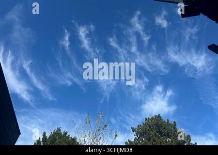 Ein Cirrus oder Zirrus ist eine reine Eiswolke in Großer Höhe. Cirren Cirruswolken werden auch Federwolken genannt. Cirruswolken *** Un cirrus est un nuage de glace pur à haute altitude nuages de Cirrus les nuages de Cirrus sont aussi appelés nuages de plumes nuages de Cirrus Banque D'Images
