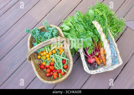 Issaquah, Washington, États-Unis. Deux paniers en osier remplis de produits fraîchement récoltés, reposant sur une terrasse, remplis de fraises, haricots verts, tomates Sungold Banque D'Images