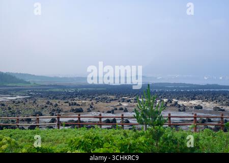 La marée basse révèle de larges plaines basaltiques et des canaux peu profonds à travers la côte de Sagye, avec des plantes côtières vertes au premier plan et sur la rive de Seogwipo Banque D'Images