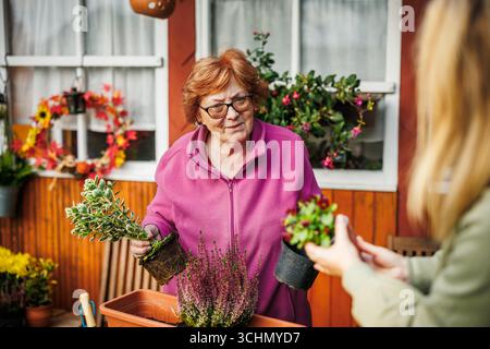 Femme âgée et sa fille adulte plantant des fleurs à l'arrière-cour. Les gens jardinant à l'extérieur en automne Banque D'Images