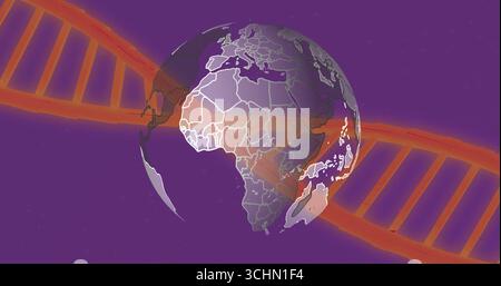 Globe terrestre tournant montrant des contours de continent blanc en toile de fond cosmique avec une double hélice d'ADN Banque D'Images