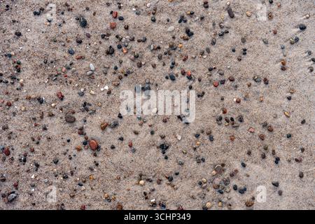 Galets colorés dispersés sur la surface de Sandy Beach Banque D'Images