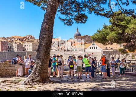 Groupe touristique sur une visite guidée dans la vieille ville de Dubrovnik. Croatie Banque D'Images