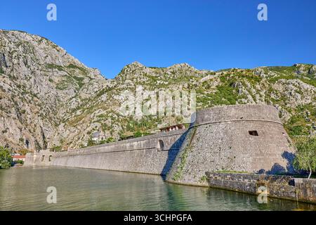 L'eau de la baie de Kotor rencontre la Citadelle du Bastion au mur du rideau Nord dans l'ancienne ville de Kotor, au Monténégro, en Europe Banque D'Images