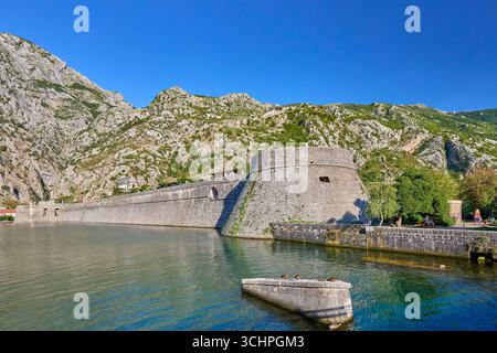 L'eau de la baie de Kotor rencontre la Citadelle du Bastion au mur du rideau Nord dans l'ancienne ville de Kotor, au Monténégro, en Europe Banque D'Images