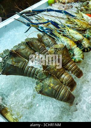 fruits de mer à vendre au marché nocturne. Marché touristique de Thaïlande Banque D'Images