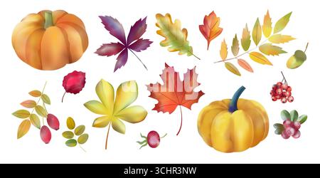 Feuilles d'automne. Récolte de citrouilles. Feuille d'aquarelle. Feuillage botanique d'érable. Gland de chêne floral. Flore sèche orange rouge et brun. Usine de Rowan. Saison automnale. Ensemble d'éléments de dessin isolés vectoriels Illustration de Vecteur