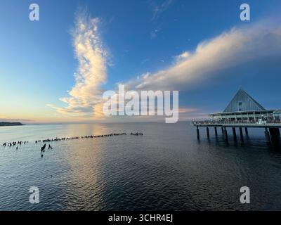 Regardant une formation de nuages dramatique dans le ciel du soir à la mer Baltique sur la jetée de Heringsdorf, Usedom, Allemagne, Europe. Phot Willy Matheisl Banque D'Images