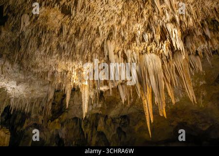 Draperies et stalactites de paille de soda dans la grande salle dans le parc national de Carlsbad Caverns, Nouveau-Mexique. Banque D'Images