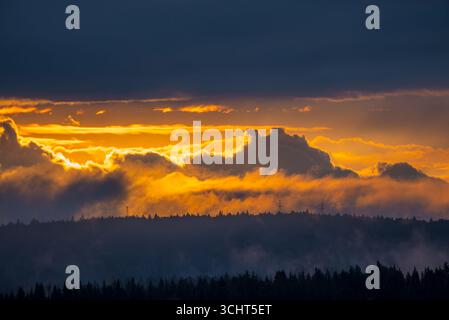 La lumière dorée de l'aube illuminant les nuages au-dessus d'une forêt brumeuse, avec des lignes électriques s'étendant à travers le paysage, crée une scène étonnante et dramatique remplie de couleurs vibrantes Banque D'Images