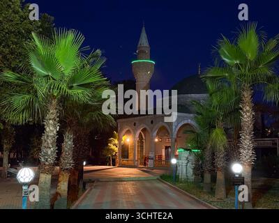 Dôme de mosquée et minaret illuminés de palmiers dans la ville du soir. Architecture, patrimoine et religion présentant la foi, la spiritualité et Banque D'Images