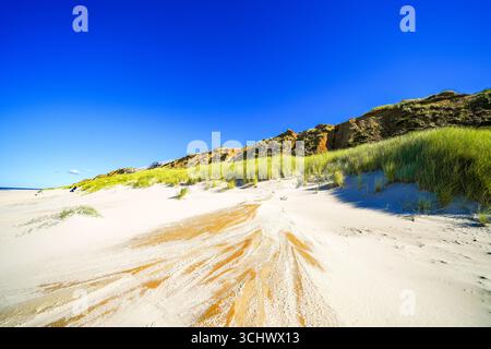 Paysage au Rotes Kliff sur l'île de Sylt, entre Wenningstadt et Kampen. Nature sur la plage de la mer du Nord. Falaises en Frise du Nord. Banque D'Images