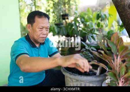 Un jardinier a tendance à des plantes en pot magnifiquement arrangées dans une végétation luxuriante Banque D'Images
