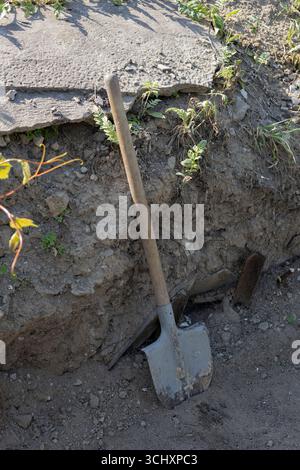 Gros plan vertical d'une pelle avec un manche en bois coincé verticalement dans le sol. Simple moment de vie rurale ou de jardin, symbole du travail manuel et payssi Banque D'Images