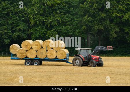 Tracteur et chargeur frontal dans les champs (vue latérale) et travail des hommes (balles de paille collectées, chargées et remorquées après récolte) - Farnley, North Yorkshire, Angleterre Royaume-Uni. Banque D'Images