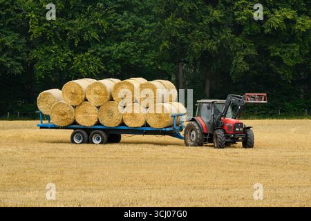 Tracteur et chargeur frontal dans les champs (vue latérale) et travail des hommes (balles de paille collectées, chargées et remorquées après récolte) - Farnley, North Yorkshire, Angleterre Royaume-Uni. Banque D'Images