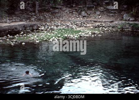 Yucatan, Mexique. 23/12/1985. Cenote du Yucatan. Le Yucatan abrite au moins 6 000 cenotes. L'eau du cenote est souvent très claire, car l'eau de pluie filtre à travers le sol et contient très peu de particules en suspension. Historiquement, les peuples mayas de Chichen Itza et d'Uxmal comptaient sur les Cenotes pour l'eau et pour les offrandes sacrificielles. Banque D'Images