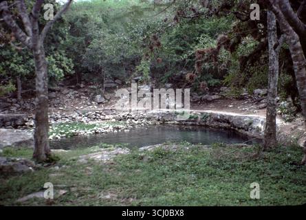 Yucatan, Mexique. 23/12/1985. Cenote du Yucatan. Le Yucatan abrite au moins 6 000 cenotes. L'eau du cenote est souvent très claire, car l'eau de pluie filtre à travers le sol et contient très peu de particules en suspension. Historiquement, les peuples mayas de Chichen Itza et d'Uxmal comptaient sur les Cenotes pour l'eau et pour les offrandes sacrificielles. Banque D'Images