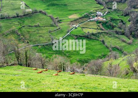 Paysage autour du village de Trascastro dans la vallée de Leitariegos dans les Asturies, Espagne Banque D'Images