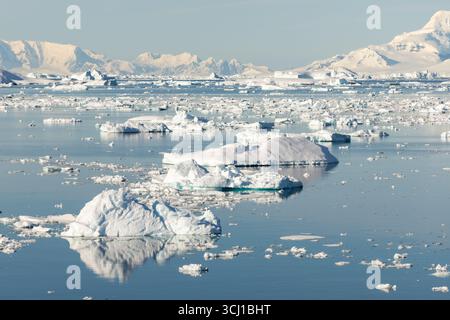 Le paysage incroyable et la faune sauvage des manchots Adélie sur l'île de Danco, en Antarctique. Icebergs, neige, montagnes, mer. Banque D'Images
