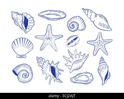 Illustration vectorielle de coquillage et d'étoile de mer dessinée à la main. Ensemble d'icônes coquillages Doodle SEA LIFE. Illustration de Vecteur